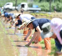 청송군 농민회, 통일쌀 손모내기 행사 개최
